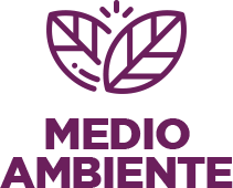 Icono de medio ambiente en Apymsa 